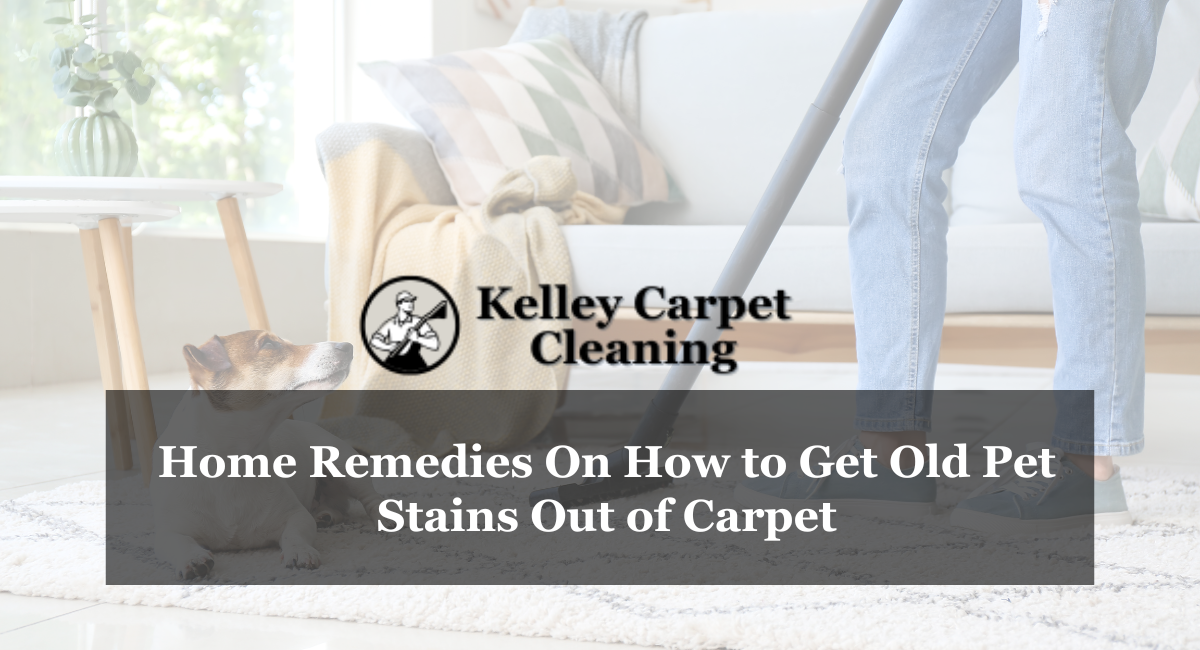 Home Remedies On How to Get Old Pet Stains Out of Carpet